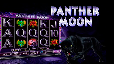 Panther Moon 