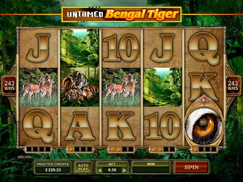 Untamed Bengal Tiger recension och tips