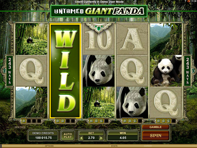 Untamed Giant Panda recension och tips