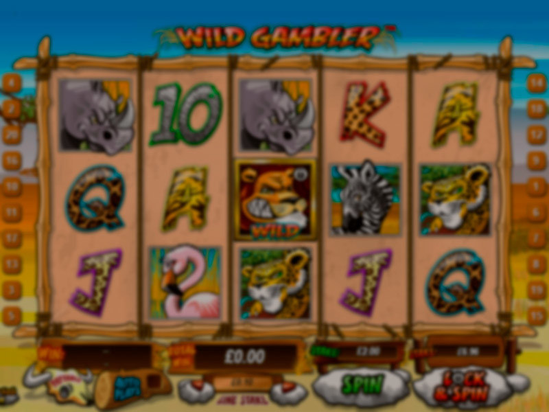 Wild Gambler recension – fakta och betyg
