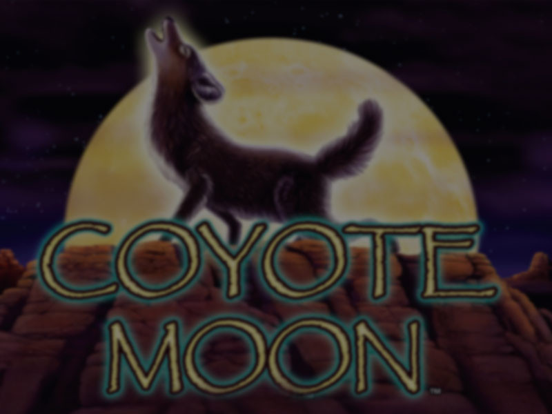 Coyote Moon spelautomat recension