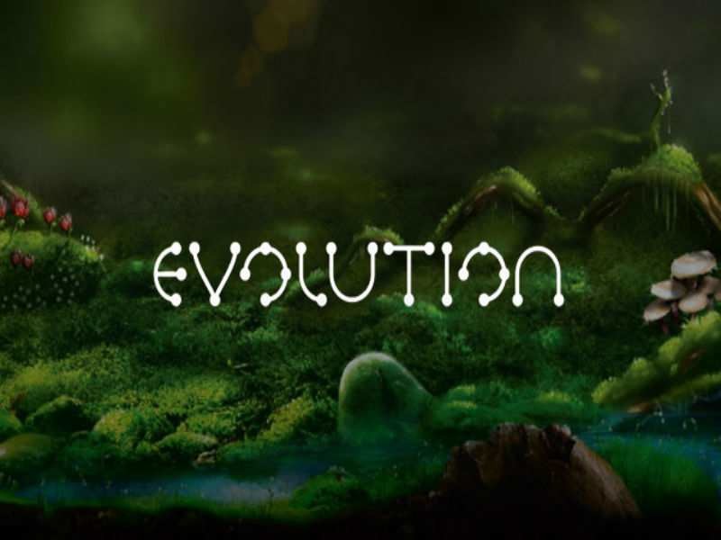 Evolution spelautomat recension